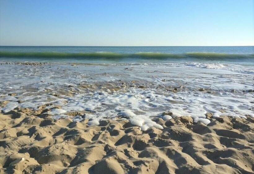 بنسيون Derrière La Plage : Suite, Patio Et Pergola