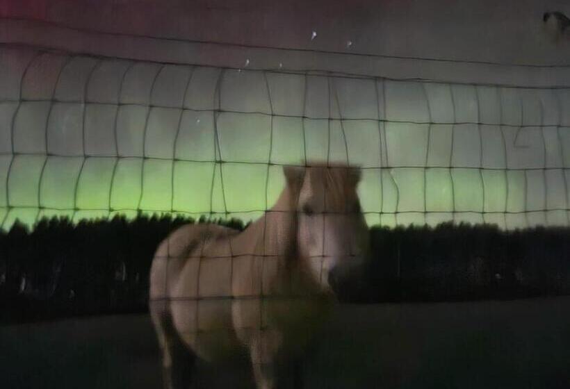 민박 Delny Muir House