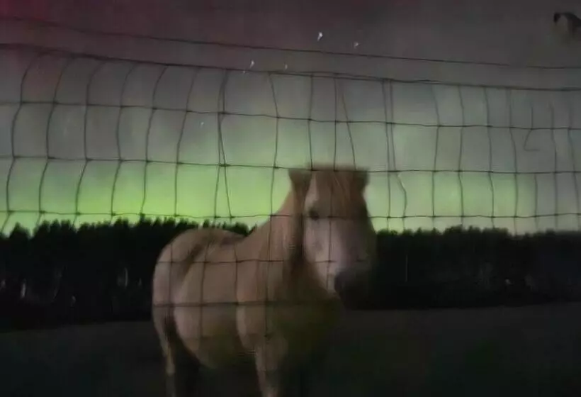 Aamiaismajoitus (B&B) Delny Muir House