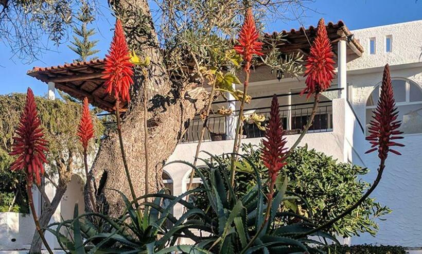 تختخواب و صبحانه Vivenda Balou