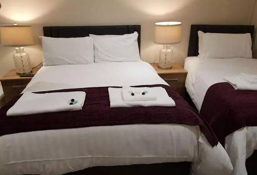 ベッドアンドブレックファースト The Dog Inn