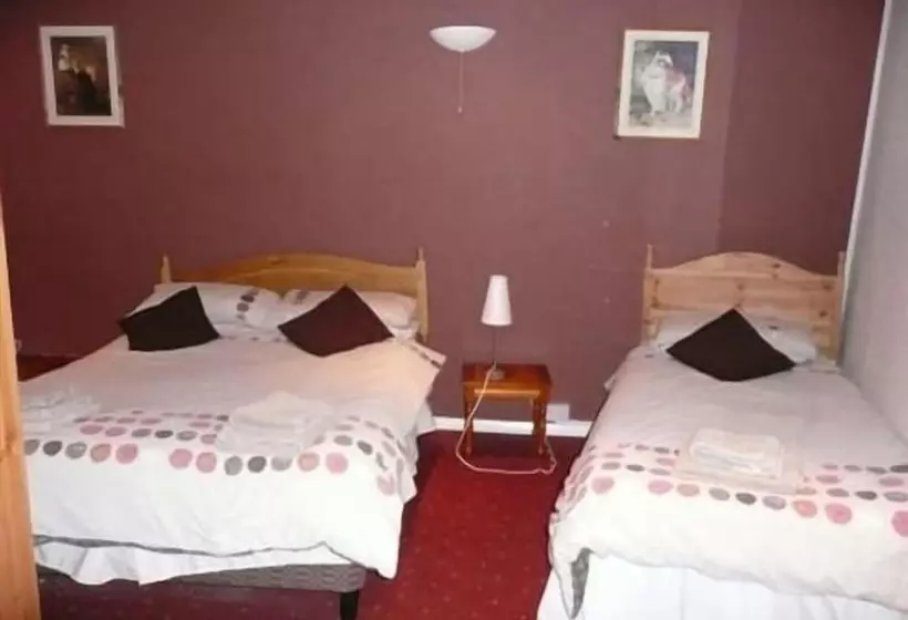 ベッドアンドブレックファースト The Dog Inn