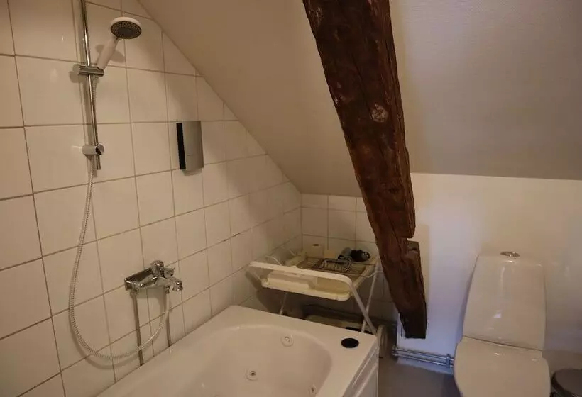 בית מלון כפרי Anno 1793 Sekelgården