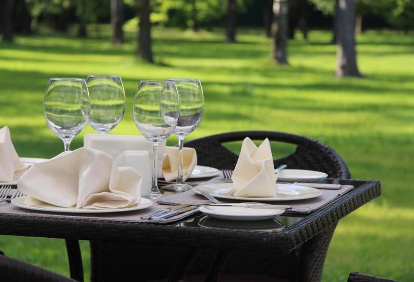 Mona Boutique Hotel Sheremetyevo