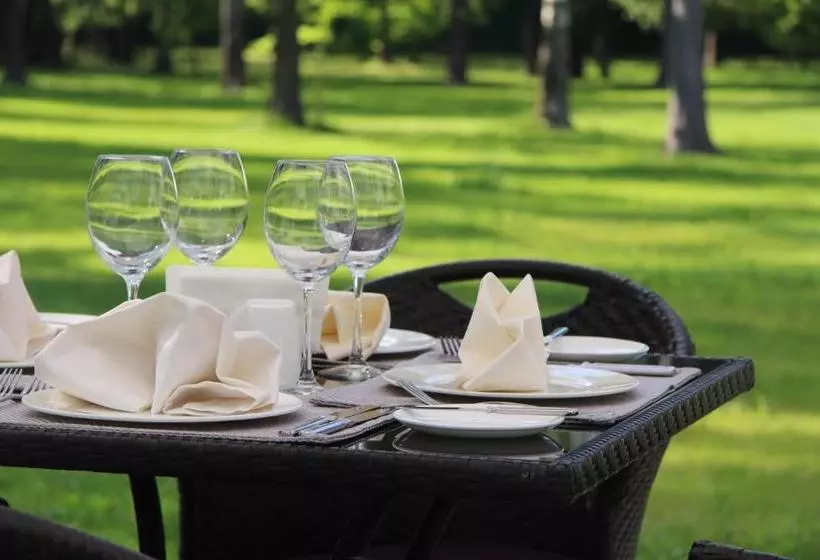 Mona Boutique Hotel Sheremetyevo