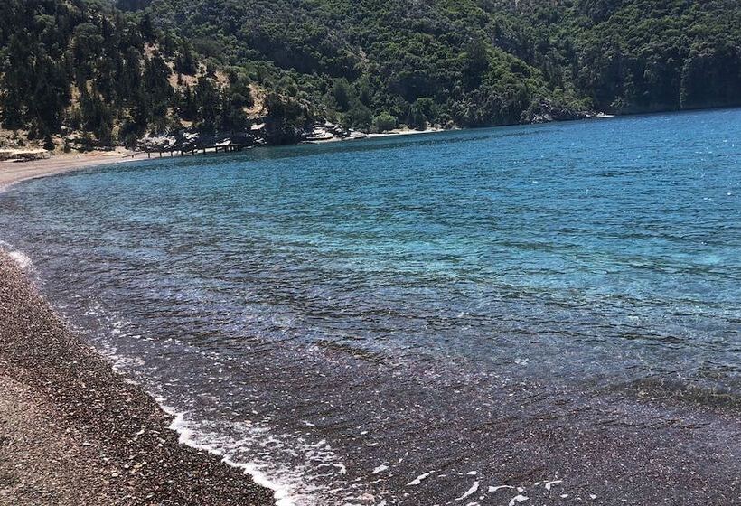 בית מלון כפרי Palme Dalyan