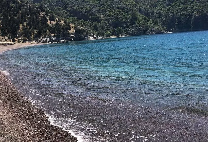 ホテル Palme Dalyan