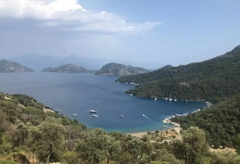 ホテル Palme Dalyan