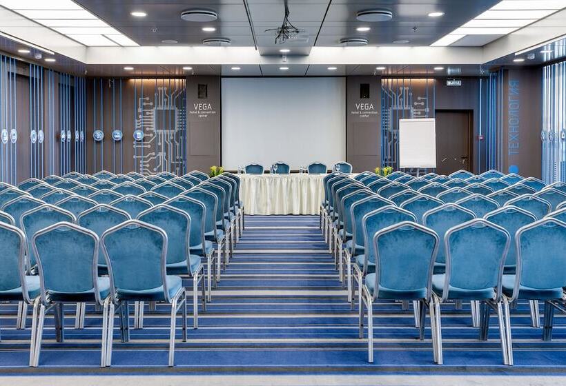 ホテル Vega Izmailovo