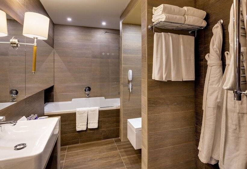 ホテル Vega Izmailovo