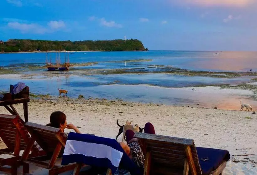 هاستل Sabas Beach And Campsite
