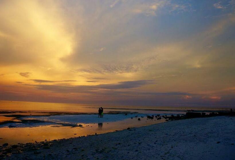 هاستل Sabas Beach And Campsite