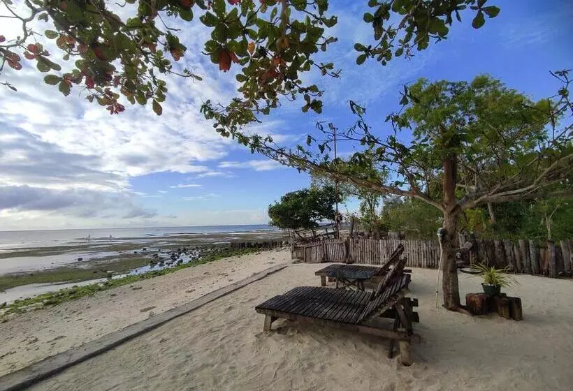 هاستل Sabas Beach And Campsite