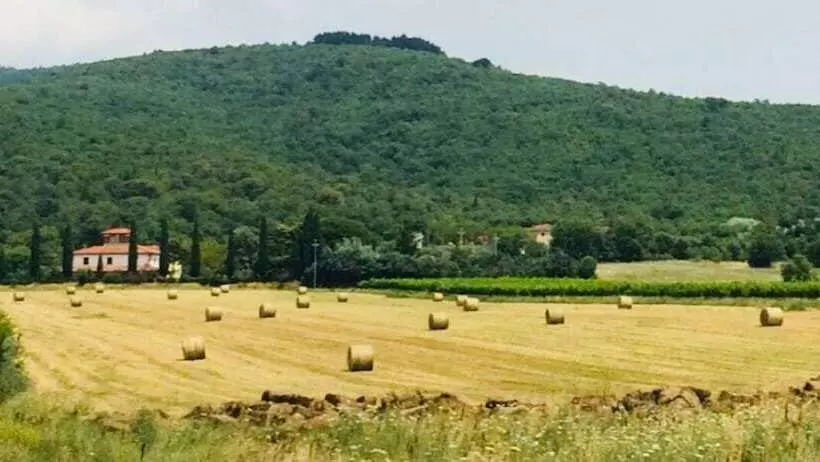 Hotelli Agriturismo La Posta Reale