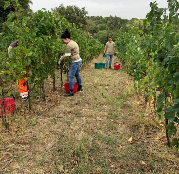 호텔 Agriturismo La Posta Reale