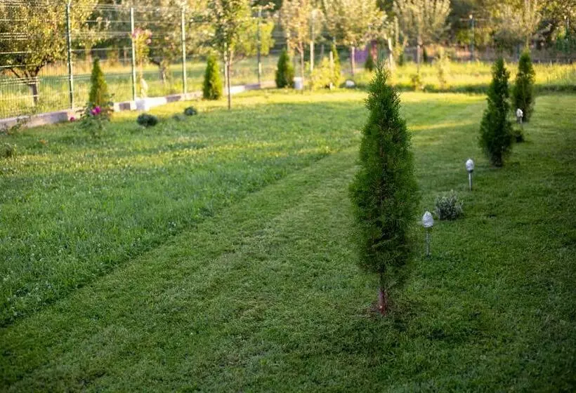 ペンション Angela