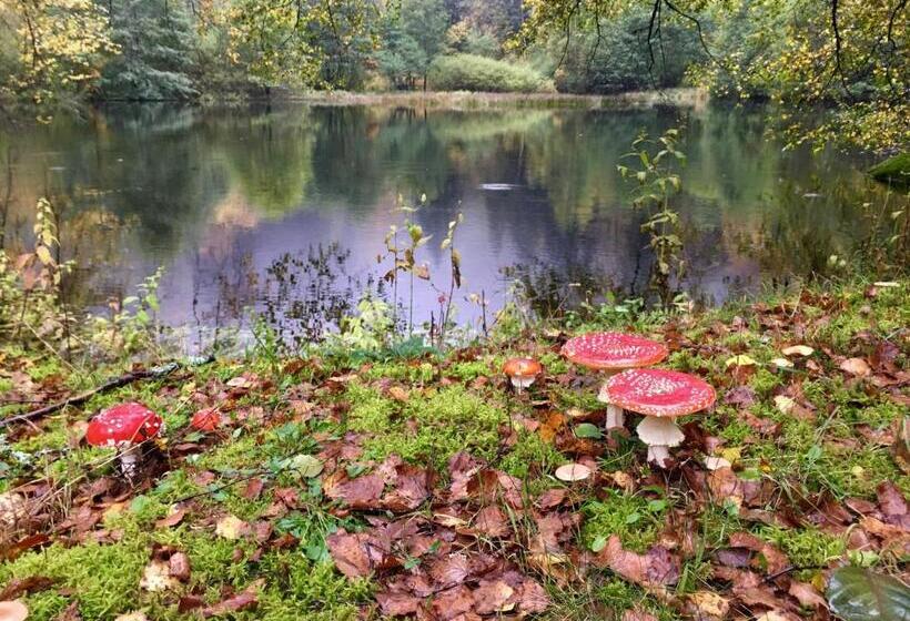 ペンション Chambres D Hôtes Des Cascades St Nicolas