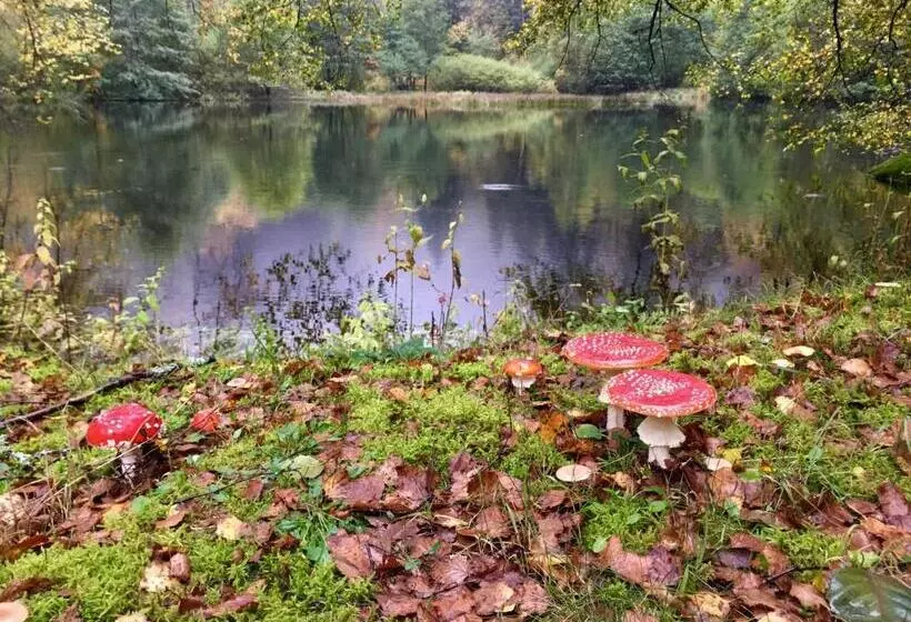 Majatalo Chambres D Hôtes Des Cascades St Nicolas