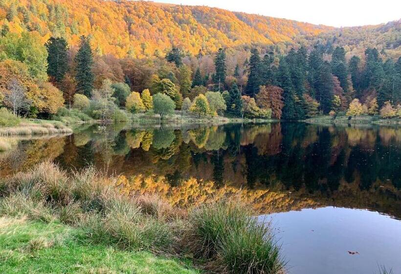 ペンション Chambres D Hôtes Des Cascades St Nicolas