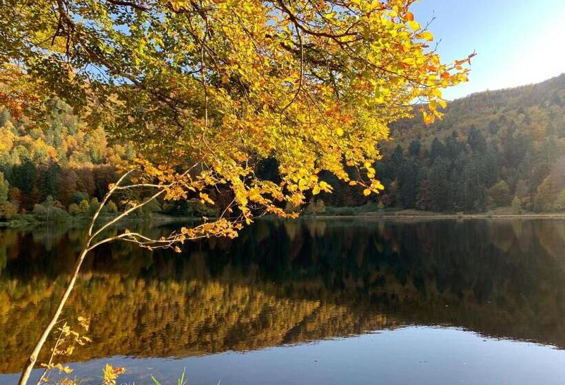 ペンション Chambres D Hôtes Des Cascades St Nicolas