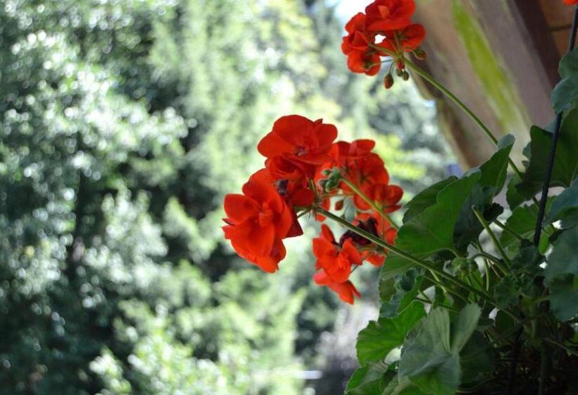 ペンション Chambres D Hôtes Des Cascades St Nicolas