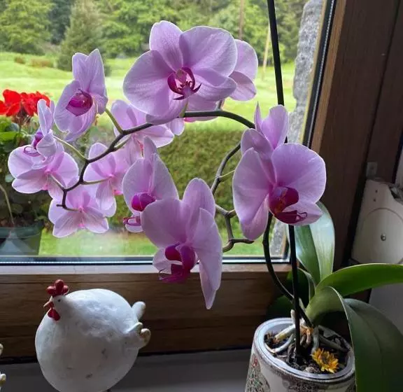 Majatalo Chambres D Hôtes Des Cascades St Nicolas