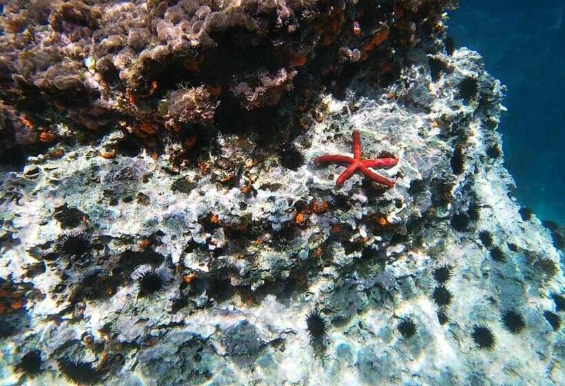 Bed and Breakfast Amantea Monument