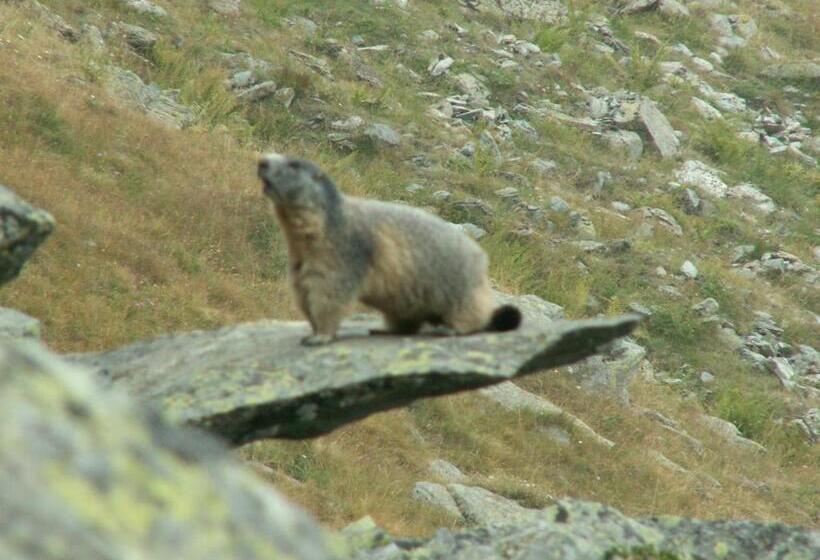 住宿加早餐 B.&.b 44