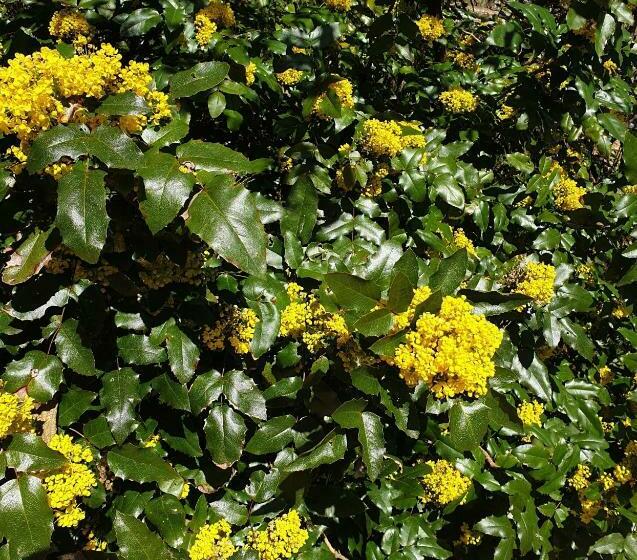 Chambre D Hôtes   B&b Le Petit Bonheur