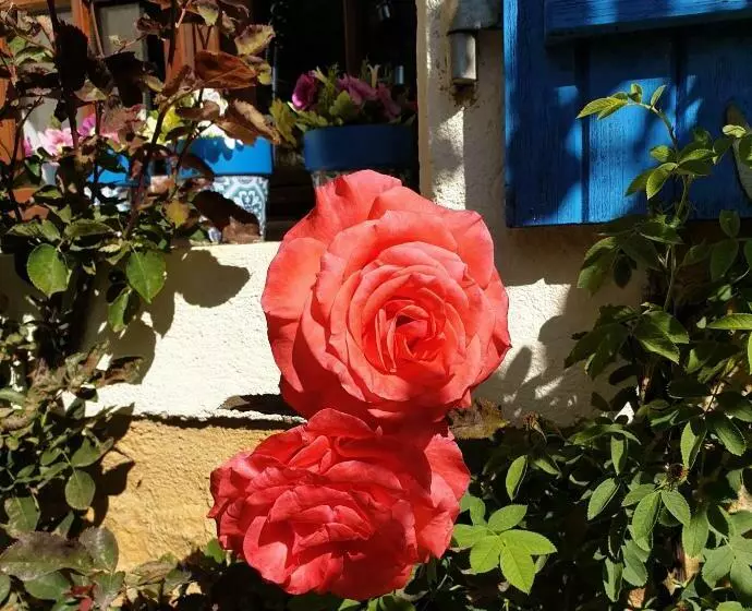 Chambre D Hôtes B&b Le Petit Bonheur