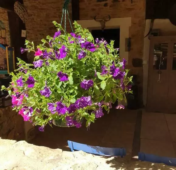 Chambre D Hôtes B&b Le Petit Bonheur