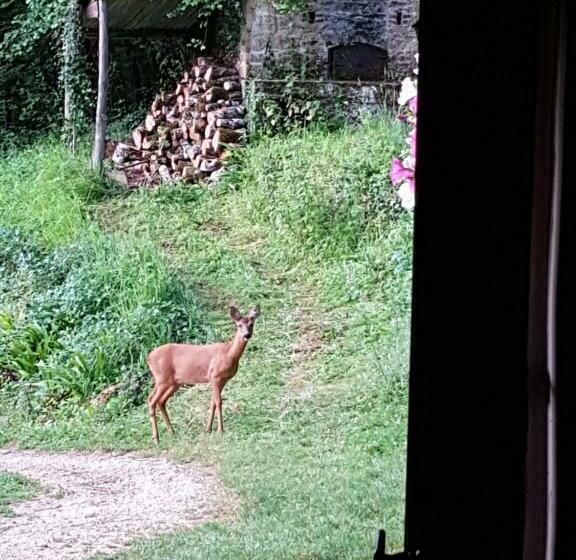Chambre D Hôtes   B&b Le Petit Bonheur