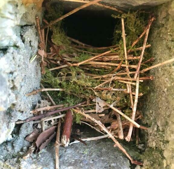 צימר Heir Island House