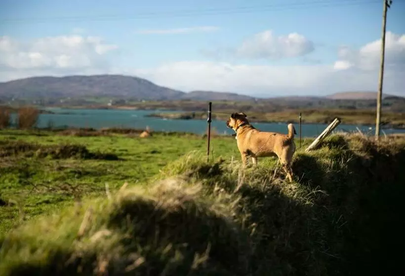 Aamiaismajoitus (B&B) Heir Island House