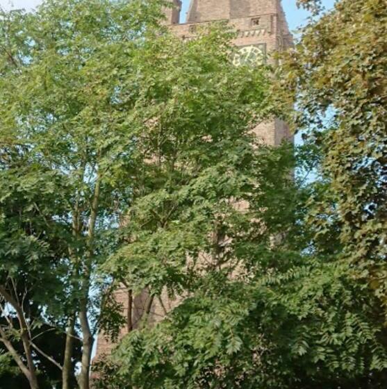 فندق Hcr De Zwaan