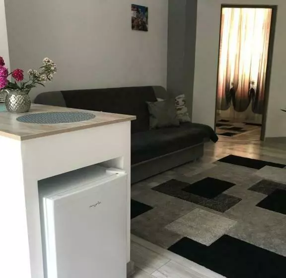 پانسیون Andres Central Apartments House