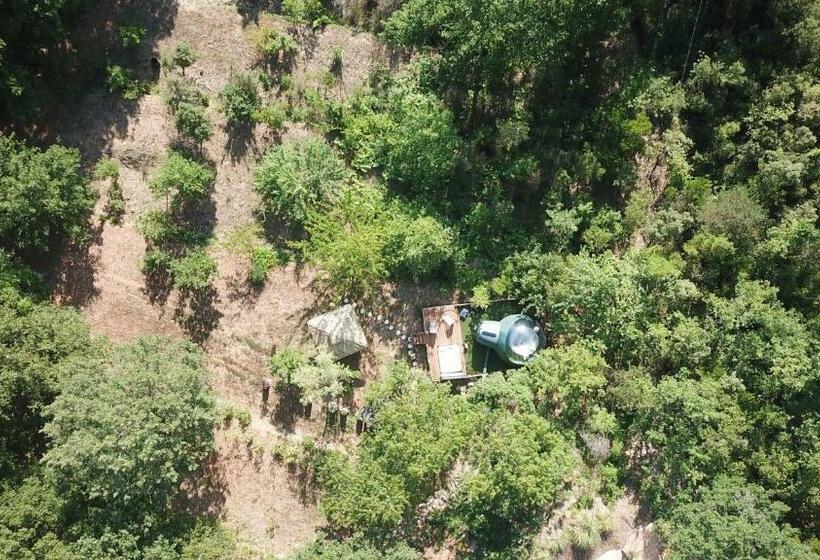 פנסיון Domaine De L Insolite