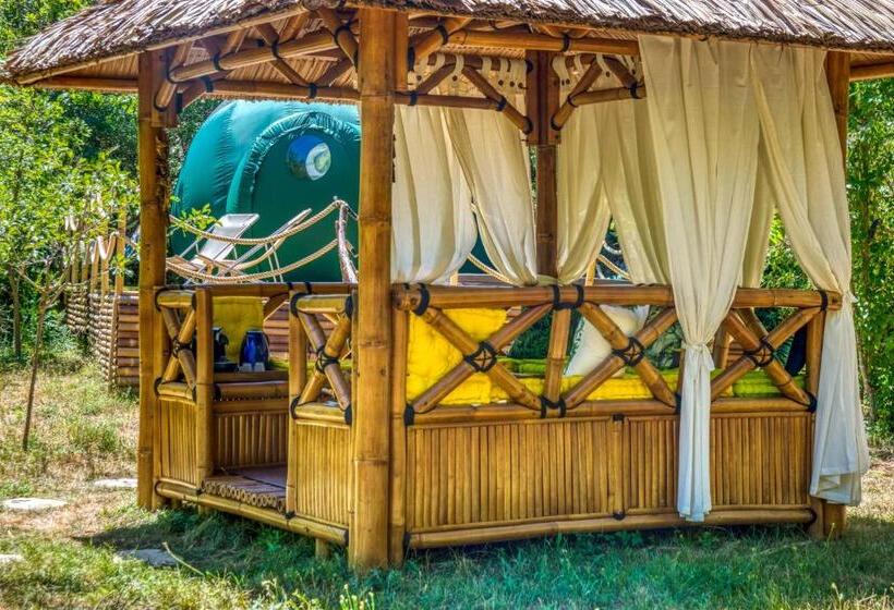 פנסיון Domaine De L Insolite