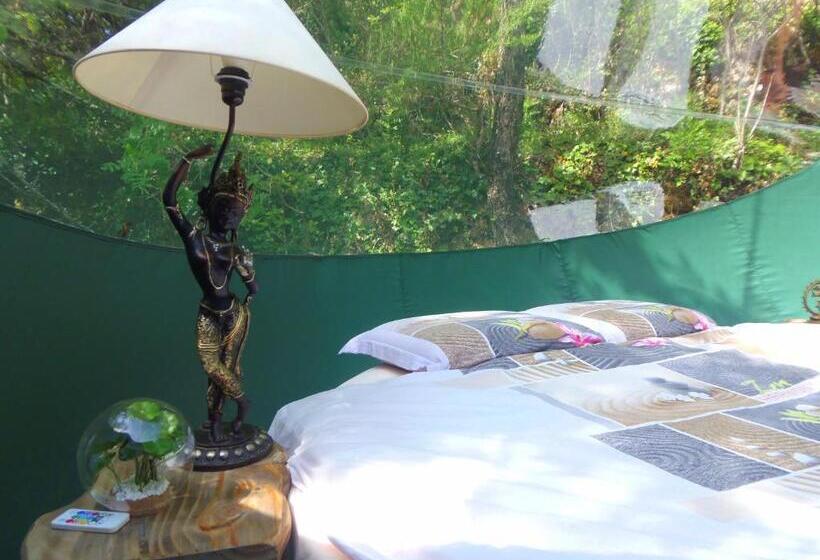 פנסיון Domaine De L Insolite