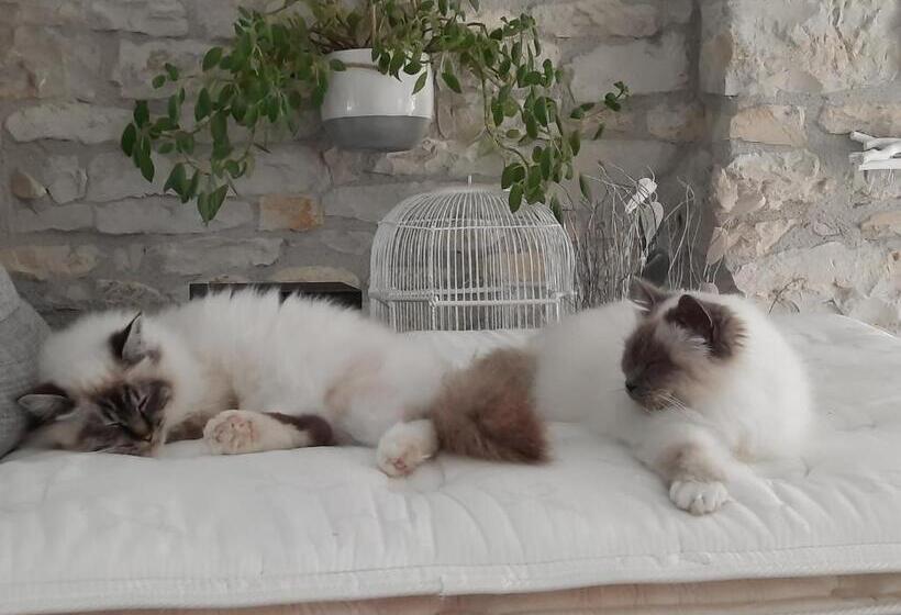 Пансион L Instant Bleu