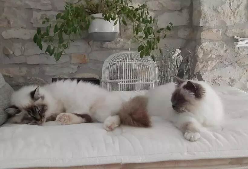 Pensión L Instant Bleu