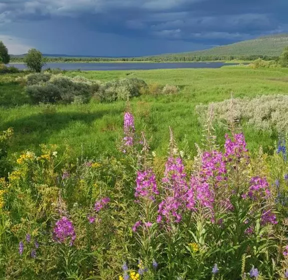 Majatalo The Friendly Moose