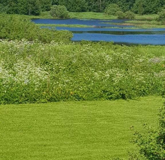 Pensionat The Friendly Moose