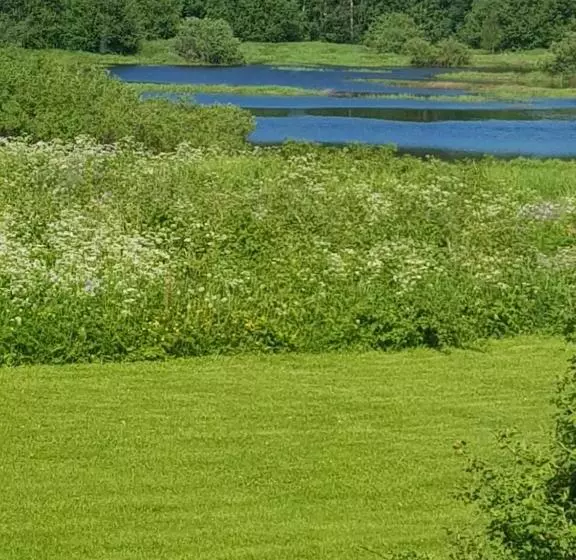 Majatalo The Friendly Moose