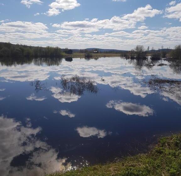 Pensionat The Friendly Moose