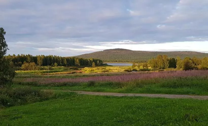 Majatalo The Friendly Moose