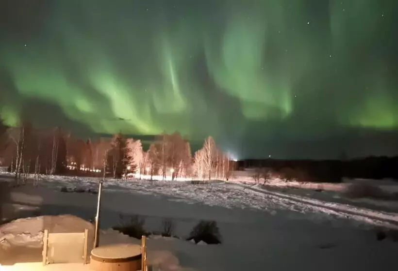 Majatalo The Friendly Moose