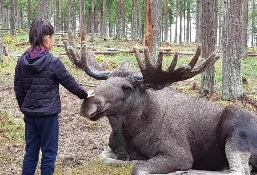 Majatalo The Friendly Moose