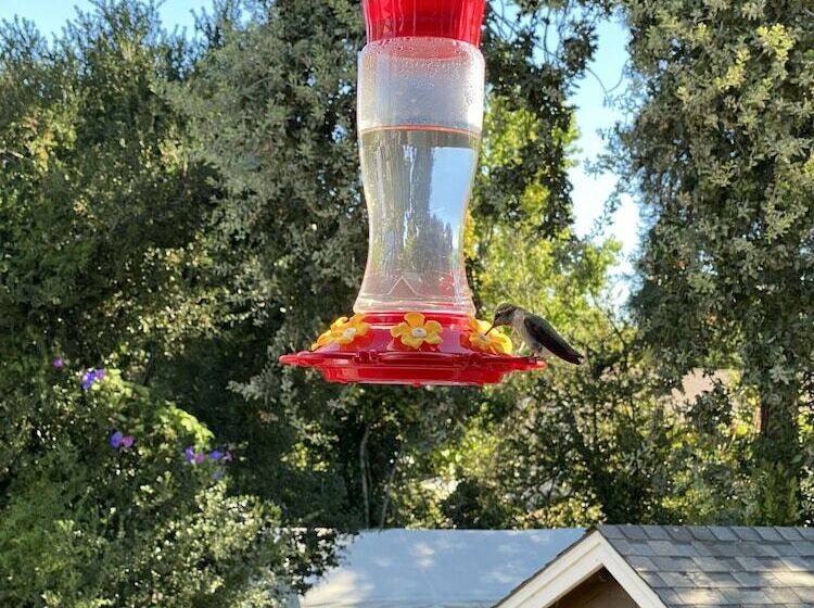 مبيت وإفطار My Big Art Project