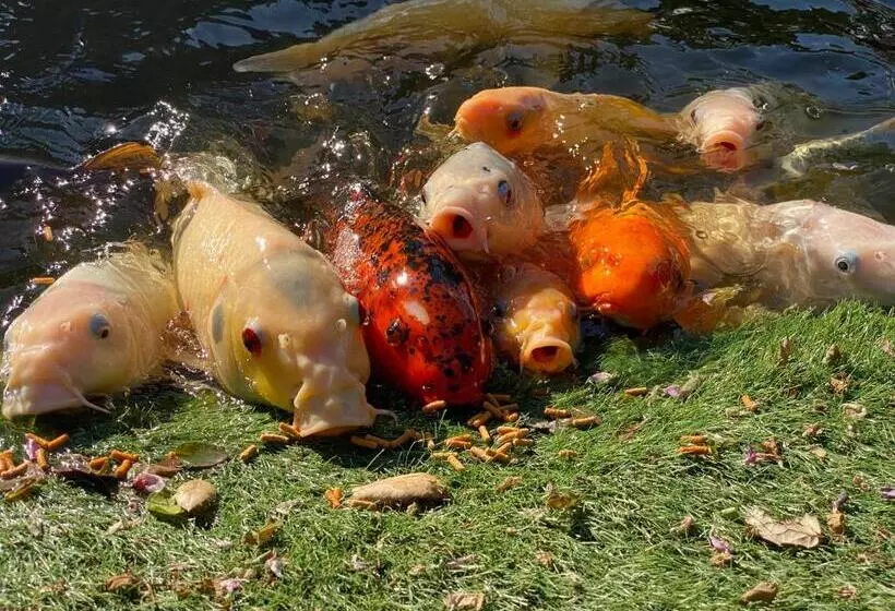 ベッドアンドブレックファースト My Big Art Project